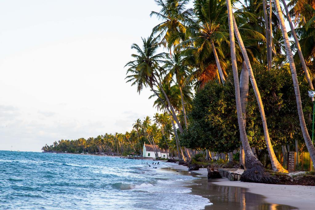 Club Meridional Praia Dos Carneiros By Aft Tamandaré Exteriör bild